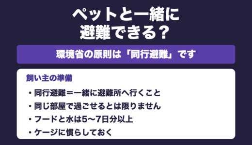 防災士が解説｜ペットと避難できる？｜「同行避難」と「同伴避難」は違います